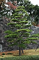 048_Tokyo_Imperial_Palace_Gardens