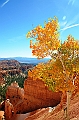 089_USA_Bryce_Canyon_National_Park