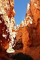 093_USA_Bryce_Canyon_National_Park