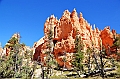 099_USA_Bryce_Canyon_National_Park