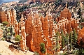 130_USA_Bryce_Canyon_National_Park