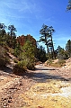 140_USA_Bryce_Canyon_National_Park