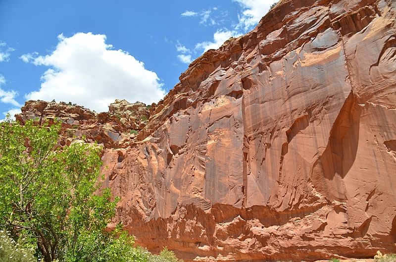 280_USA_Capital_Reef_National_Park.JPG