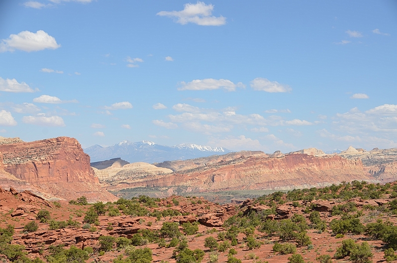 313_USA_Capital_Reef_National_Park.JPG