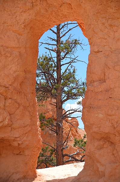 363_USA_Bryce_Canyon_National_Park.JPG