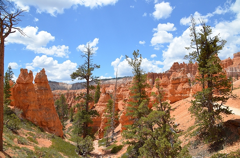 366_USA_Bryce_Canyon_National_Park.JPG