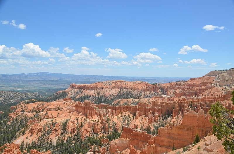 378_USA_Bryce_Canyon_National_Park.JPG
