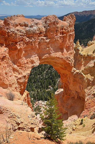 392_USA_Bryce_Canyon_National_Park.JPG