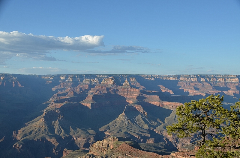 578_USA_Grand_Canyon_National_Park.JPG