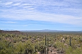 009_USA_Arizona_Sonora_Desert_Museum