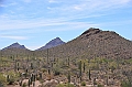 012_USA_Arizona_Sonora_Desert_Museum