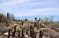 015_USA_Arizona_Sonora_Desert_Museum