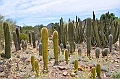 021_USA_Arizona_Sonora_Desert_Museum