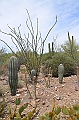 022_USA_Arizona_Sonora_Desert_Museum