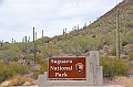 031_USA_Saguaro_National_Park