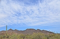 044_USA_Saguaro_National_Park