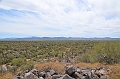 049_USA_Saguaro_National_Park