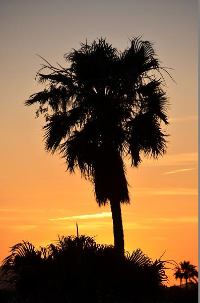 078_Arizona_Tucson_Sunset.JPG