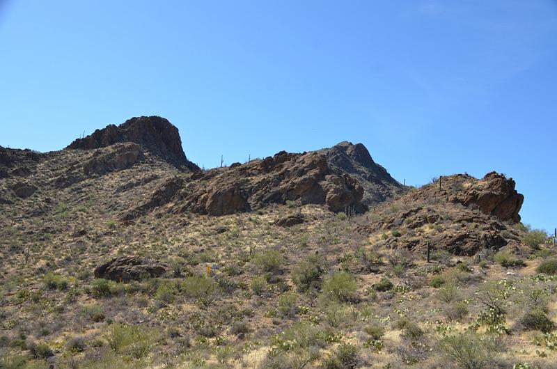 084_Arizona_Tucson_Saguaro_NP06.JPG