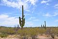 069_Arizona_Tucson_Saguaro_NP16