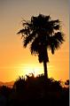 077_Arizona_Tucson_Sunset