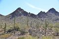 089_Arizona_Tucson_Saguaro_NP11