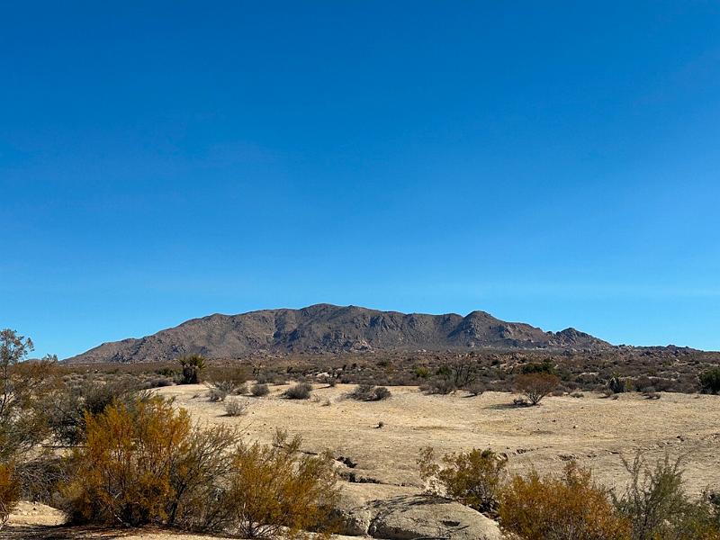 003_USA_Kalifornien­_Joshua_Tree_Nationalpark .JPG