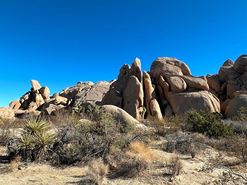 017_USA_Kalifornien­_Joshua_Tree_Nationalpark .JPG