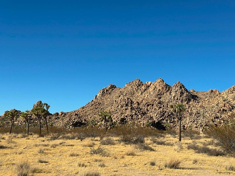 027_USA_Kalifornien­_Joshua_Tree_Nationalpark .JPG