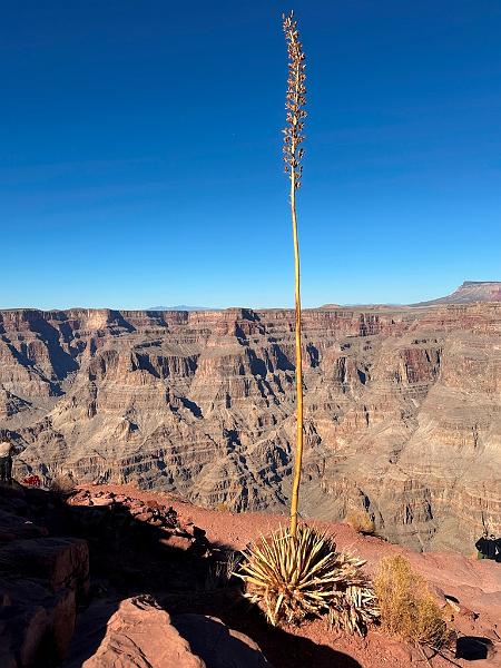 369_USA_Arizona_Grand_Canyon_NP_West.JPG