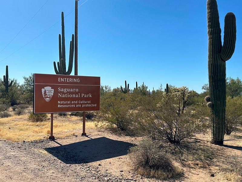 373_USA_Arizona_Saguaro_NP.JPG