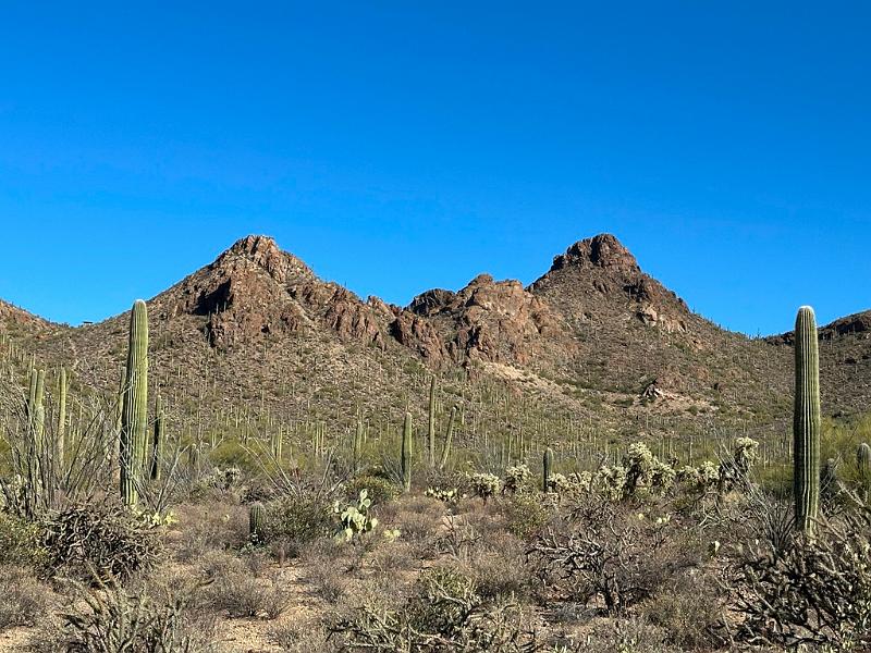392_USA_Arizona_Saguaro_NP.JPG