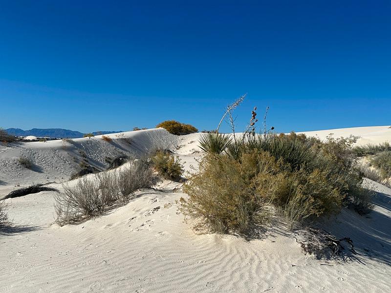 423_USA_New_Mexico_White_Sands_NP.JPG