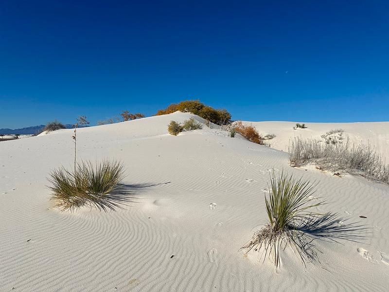 424_USA_New_Mexico_White_Sands_NP.JPG