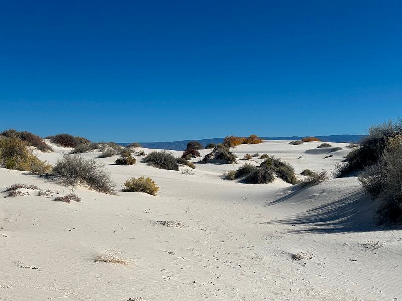 430_USA_New_Mexico_White_Sands_NP.JPG