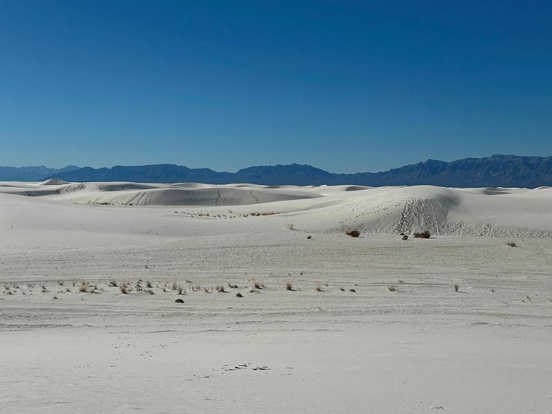 438_USA_New_Mexico_White_Sands_NP.JPG