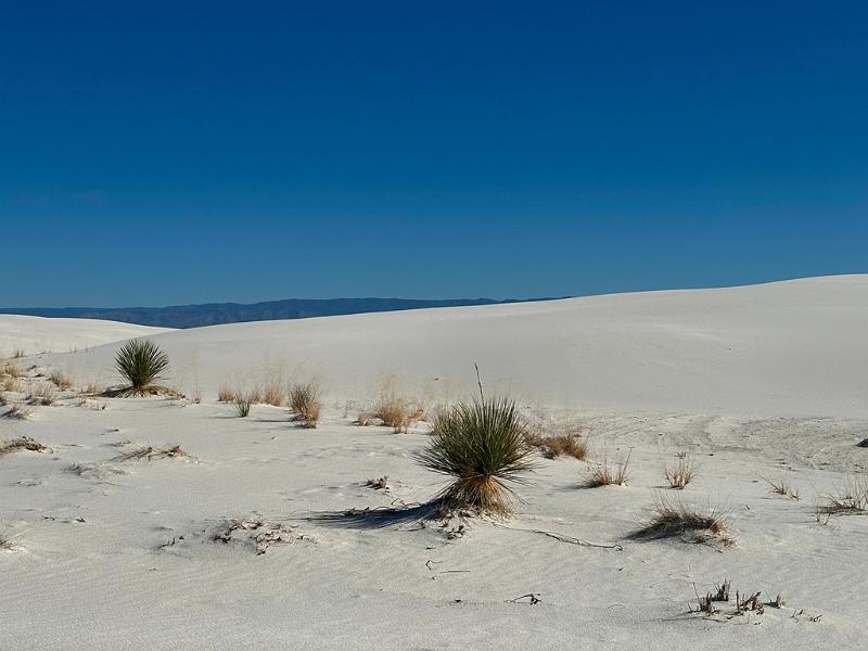 444_USA_New_Mexico_White_Sands_NP.JPG