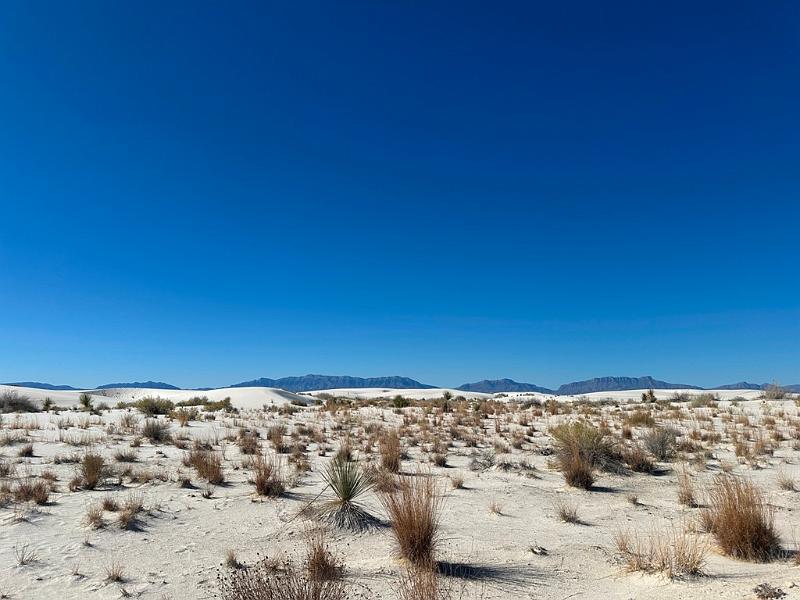 446_USA_New_Mexico_White_Sands_NP.JPG