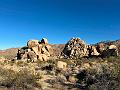 029_USA_Kalifornien­_Joshua_Tree_Nationalpark 