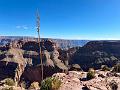 350_USA_Arizona_Grand_Canyon_NP_West