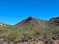 374_USA_Arizona_Saguaro_NP