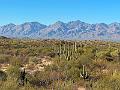 403_USA_Arizona_Saguaro_NP