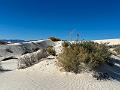 423_USA_New_Mexico_White_Sands_NP