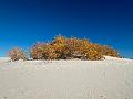 425_USA_New_Mexico_White_Sands_NP