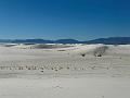 438_USA_New_Mexico_White_Sands_NP