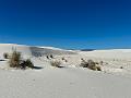 443_USA_New_Mexico_White_Sands_NP