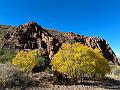 456_USA_Texas_Franklin_Mountains_State_Park